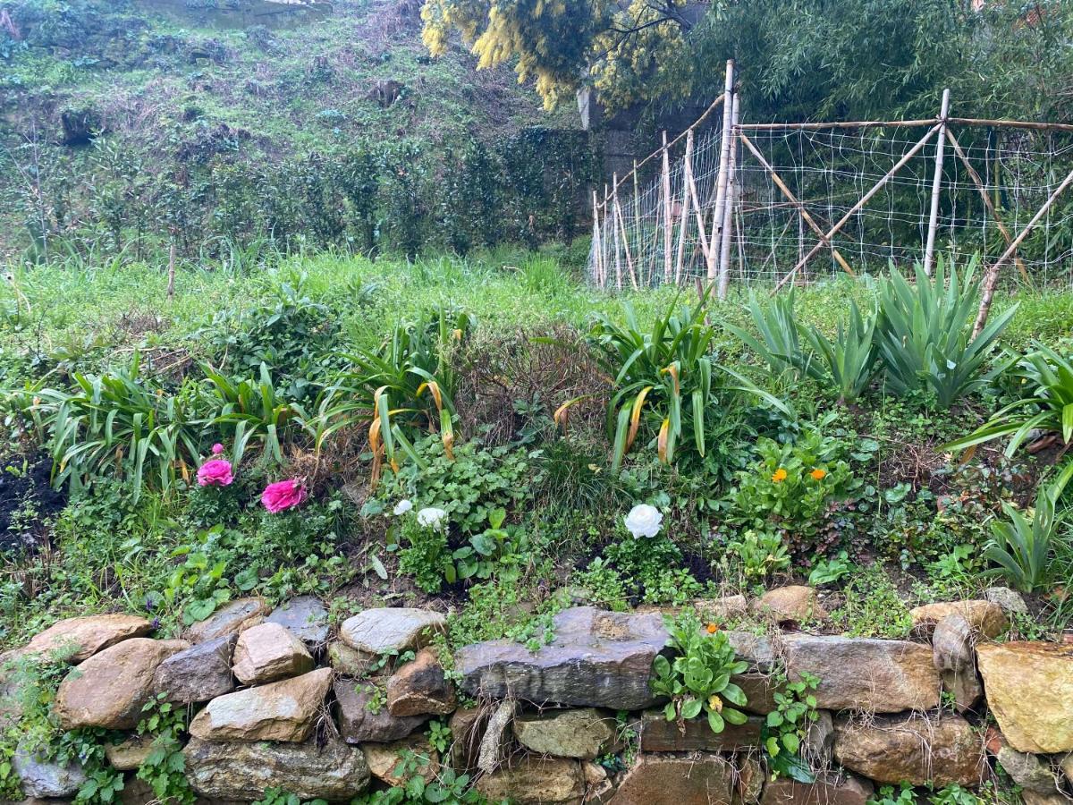 Dolce Vita In Tuscany B&B Capannori Exteriör bild