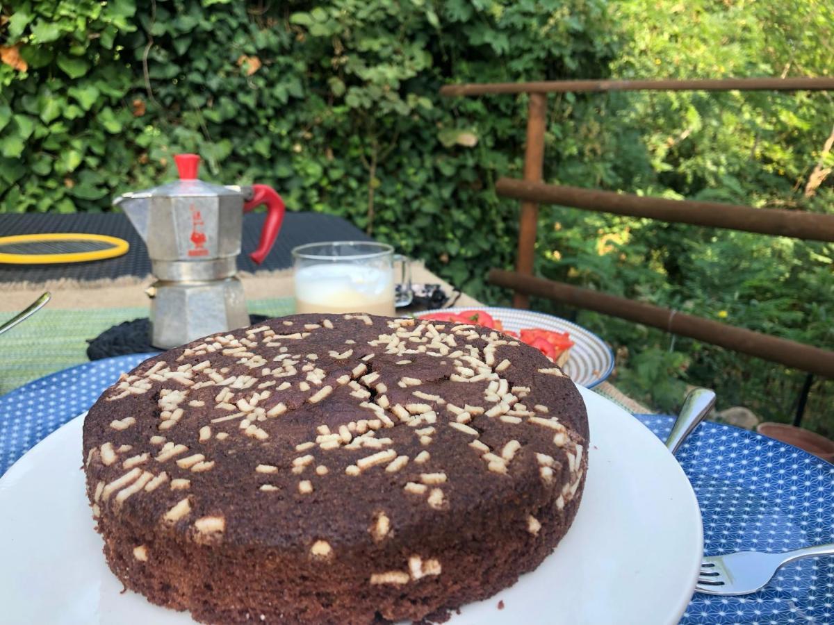 Dolce Vita In Tuscany B&B Capannori Exteriör bild